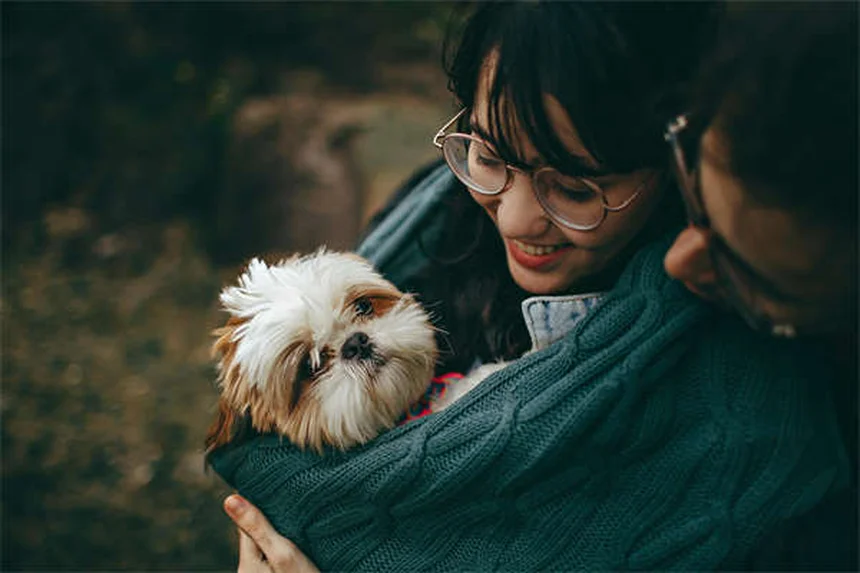 Why Do Dogs Bring You Toys? 3 Adorable Reasons Explained